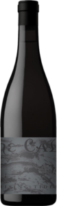 2019RisingTidesBottleCutout