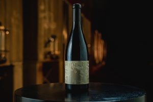 DSC02534 48 ColorCorrect scaled