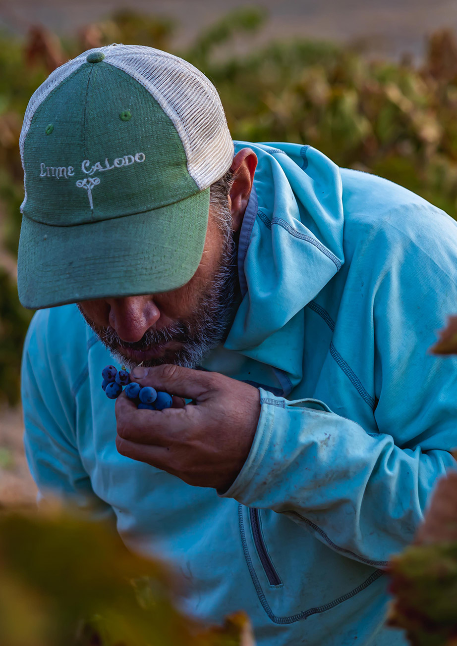 Native Positive Farming