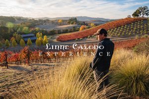 linne calodo wine bulletin