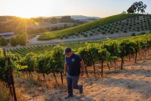 lc 2023 harvest matt