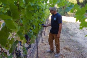 lc 2023 harvest thumbnail