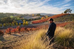 matt overlooking stonethrower vineyard